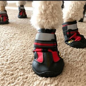 Stylish Red and Black Dog Boots
